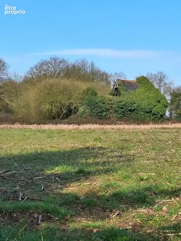 Terrain non constructible avec bâtisse en pierres en ruine, pour jardin ou espace de loisirs - photo 3
