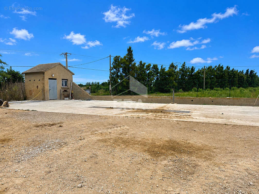 Terrain 11162m² à saint-laurent-de-la-salanque - photo 6