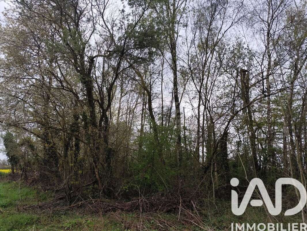 Photo 4 - Terrain à MARLES-EN-BRIE