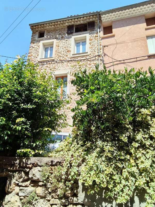 Photo 8 - Maison à MONTFORT-SUR-ARGENS