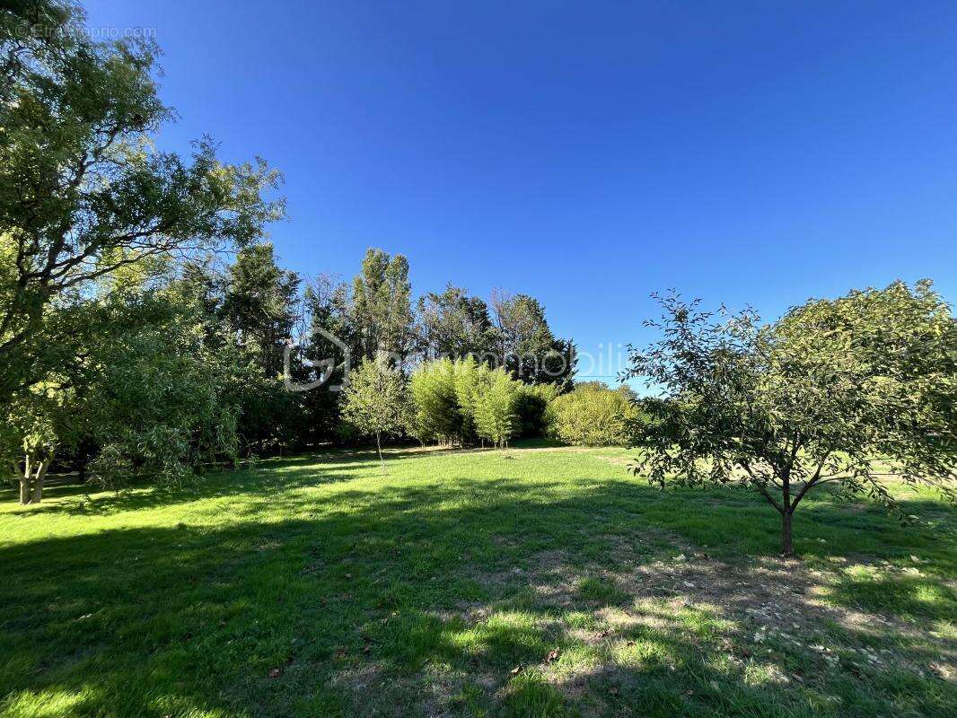 Maison à SAINT-MARTIN-DES-CHAMPS