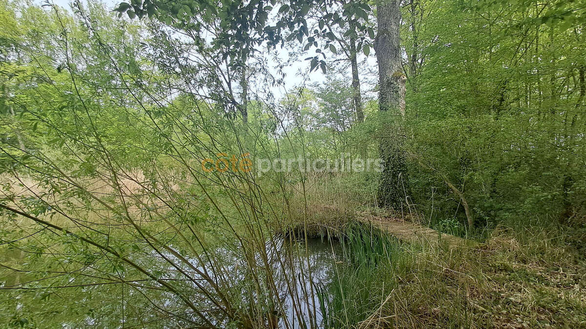 Terrain à CHEVILLON-SUR-HUILLARD