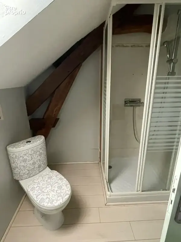 Appartement T2 en duplex - photo 4