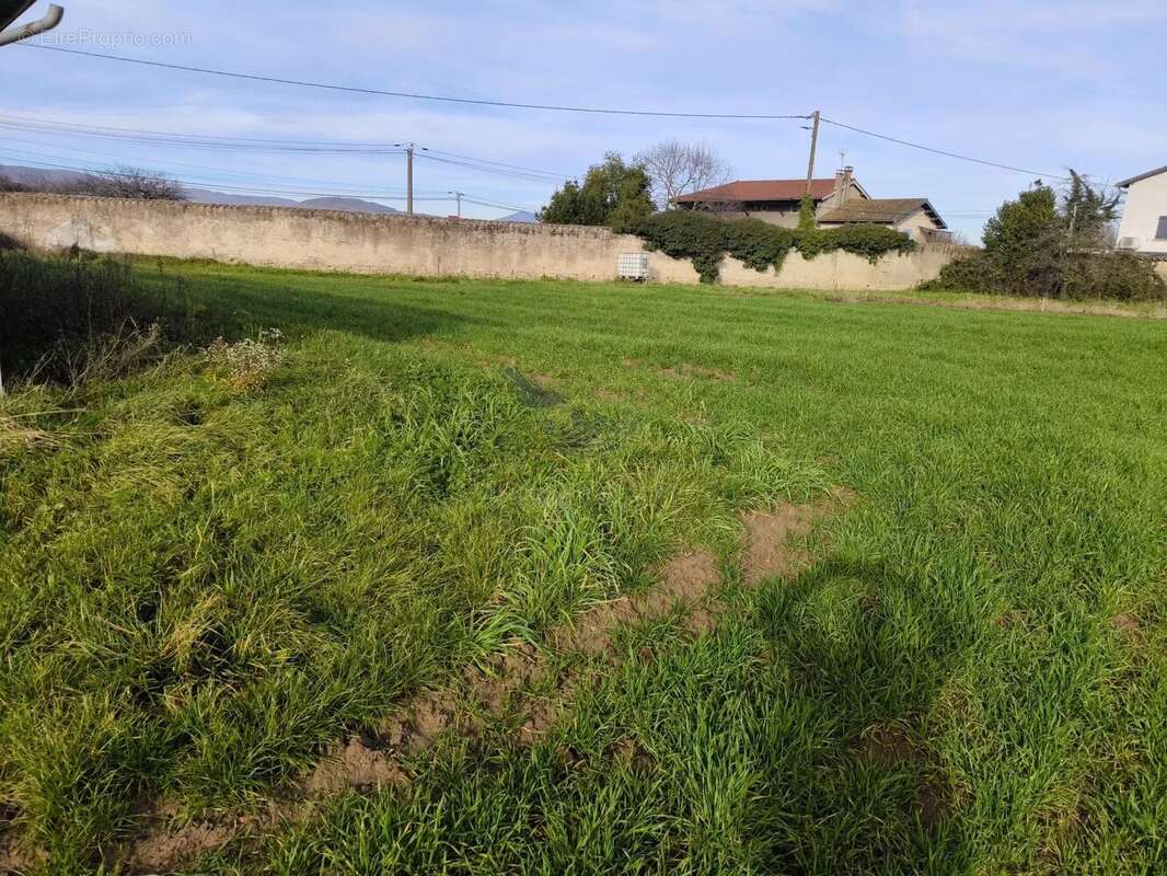 Terrain à SAINT-GEORGES-DE-RENEINS