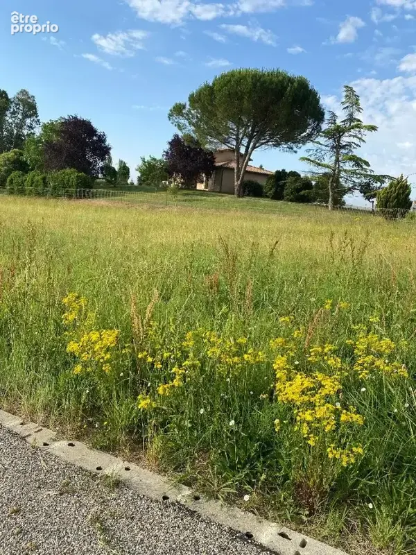 Terrain 1857 m² à Montauban  - photo 4