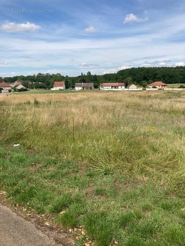 Terrain à TILLENAY