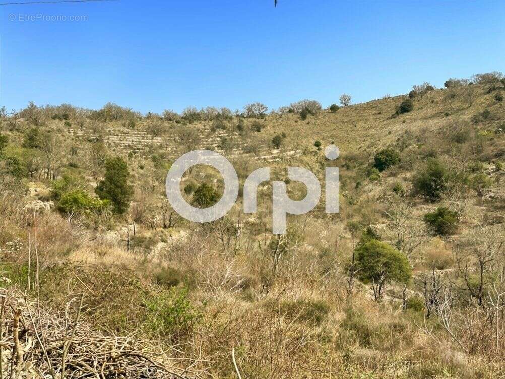 Terrain non constructible - photo 5