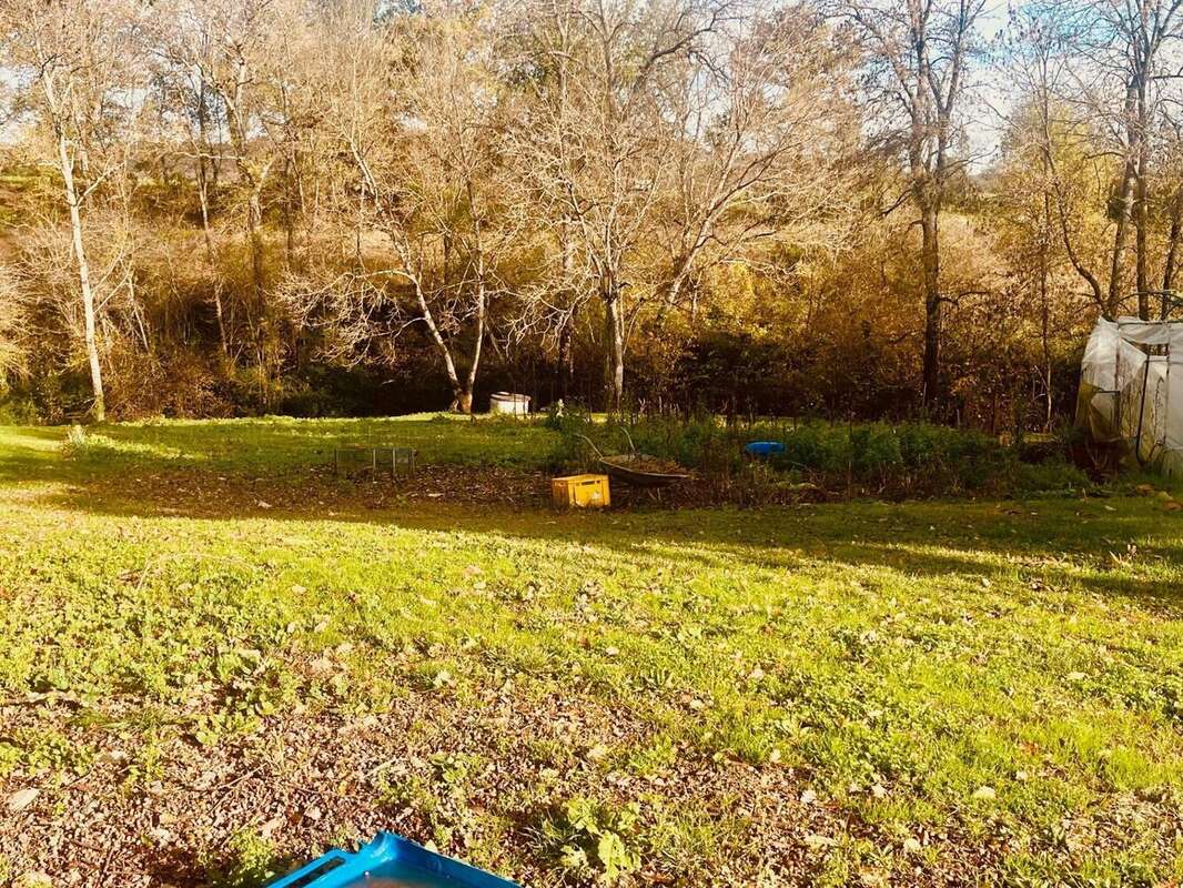 Photo 8 - Maison à SAINT-JULIEN-DU-PUY