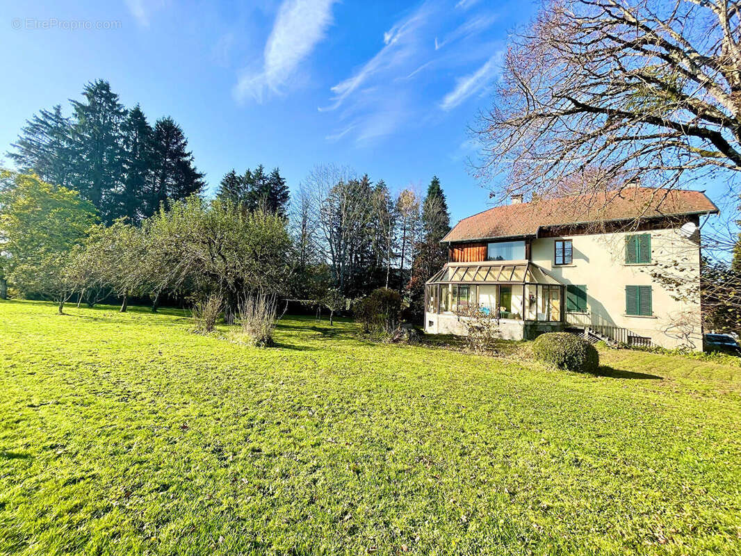 Maison à BELLEHERBE