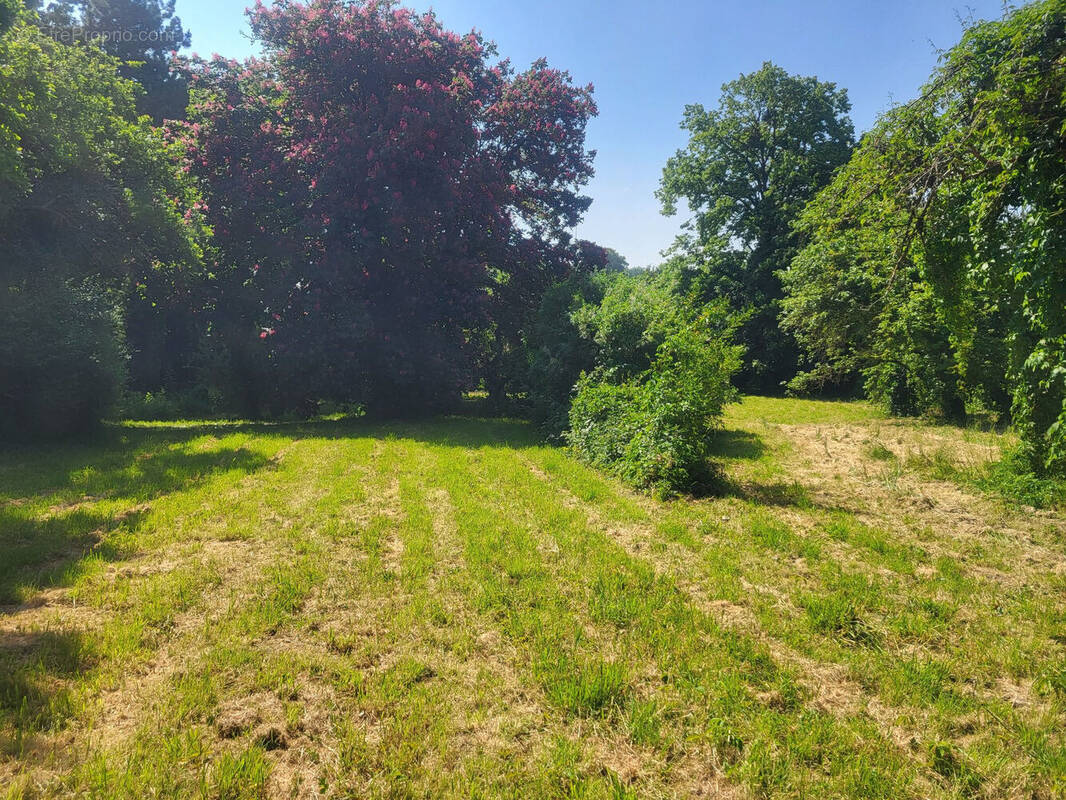 Photo 1 - Terrain à ALLERY