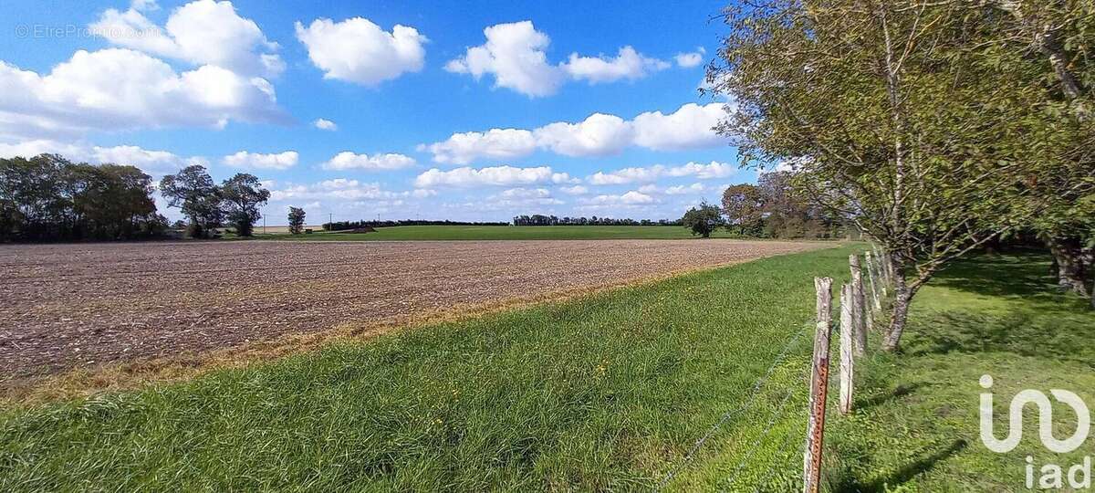 Photo 6 - Maison à LES FOSSES