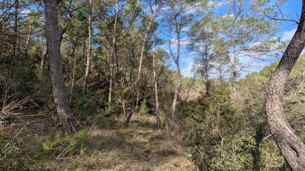 Terrain à ENTRECASTEAUX