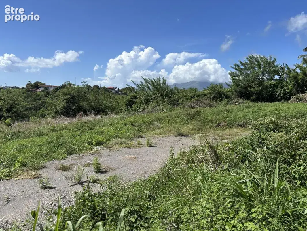 A vendre : terrain 750m² au carbet (97221) - photo 8