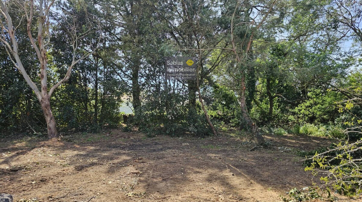 Terrain à L'ILE-D'YEU