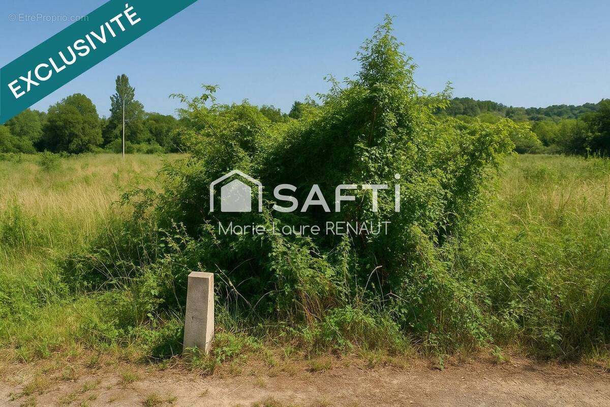 Photo 1 - Terrain à GRAULHET