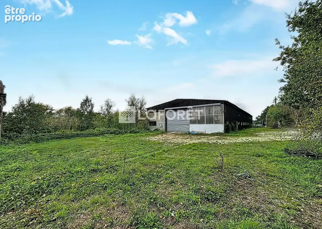 Entrepôt La Ferriere Aux Etangs 560 m2 - photo 6