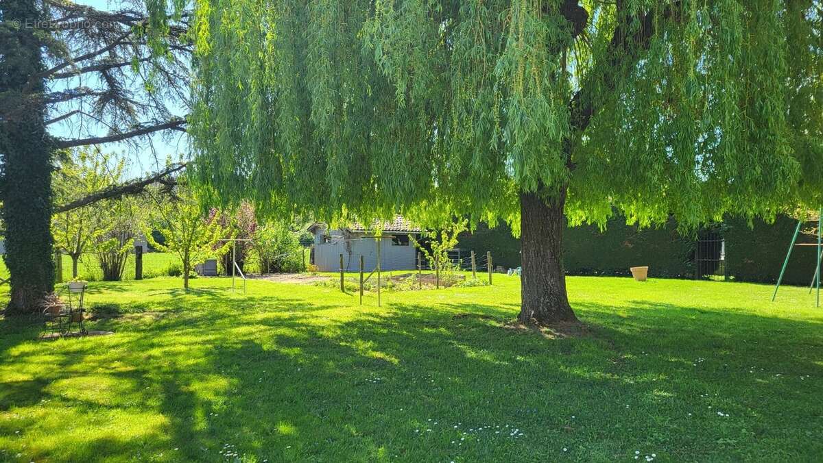 Maison à ROMANECHE-THORINS