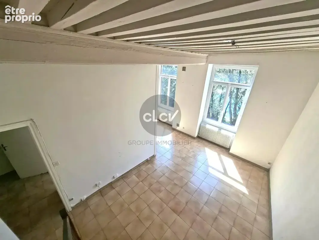 Caluire-et-Cuire – T3 duplex avec plafond à la française et vue sur le Rhône - photo 8