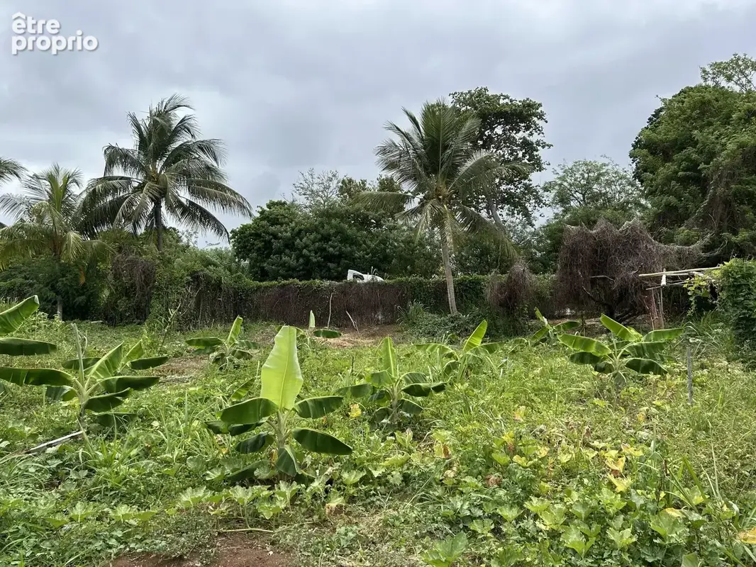 Exclusivité terrain constructible – 2 385 m² – changy, capesterre-belle-eau – guadeloupe - photo 3
