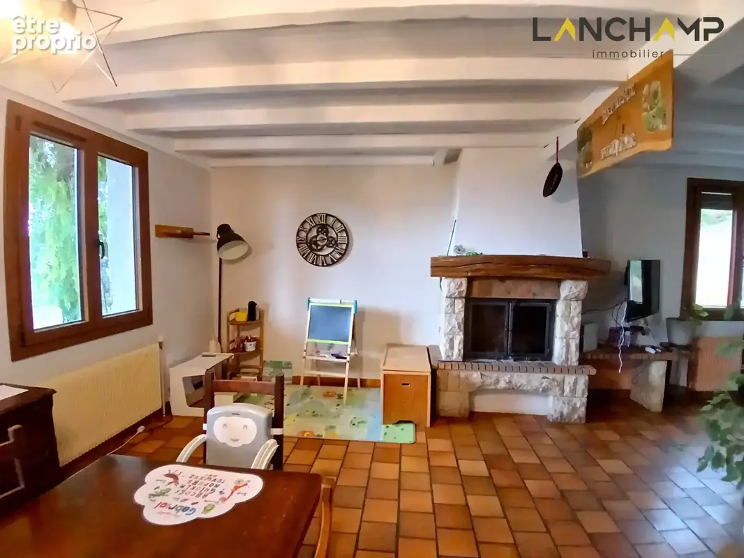 Maison avec grand terrain - photo 3