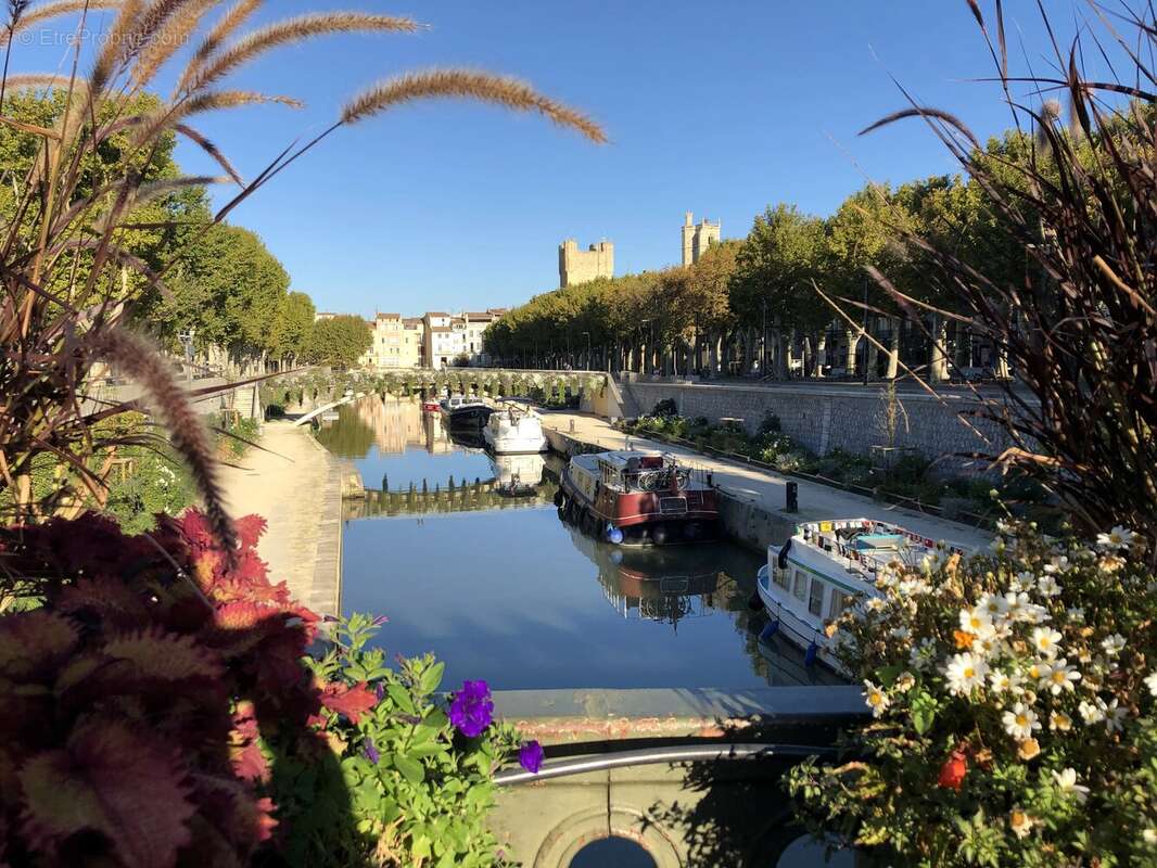 Commerce à NARBONNE