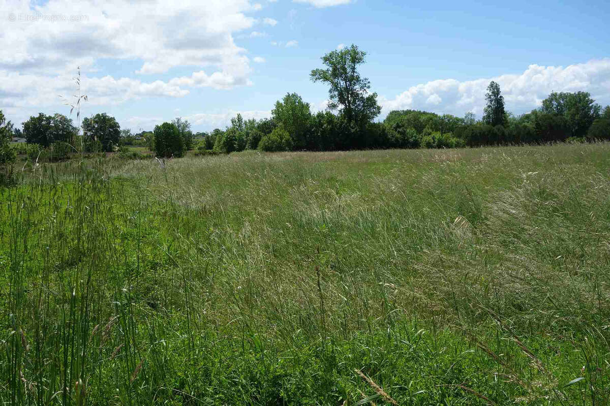 Maison en pierre avec dépendances sur grand terrain de 4700m2 - photo 5