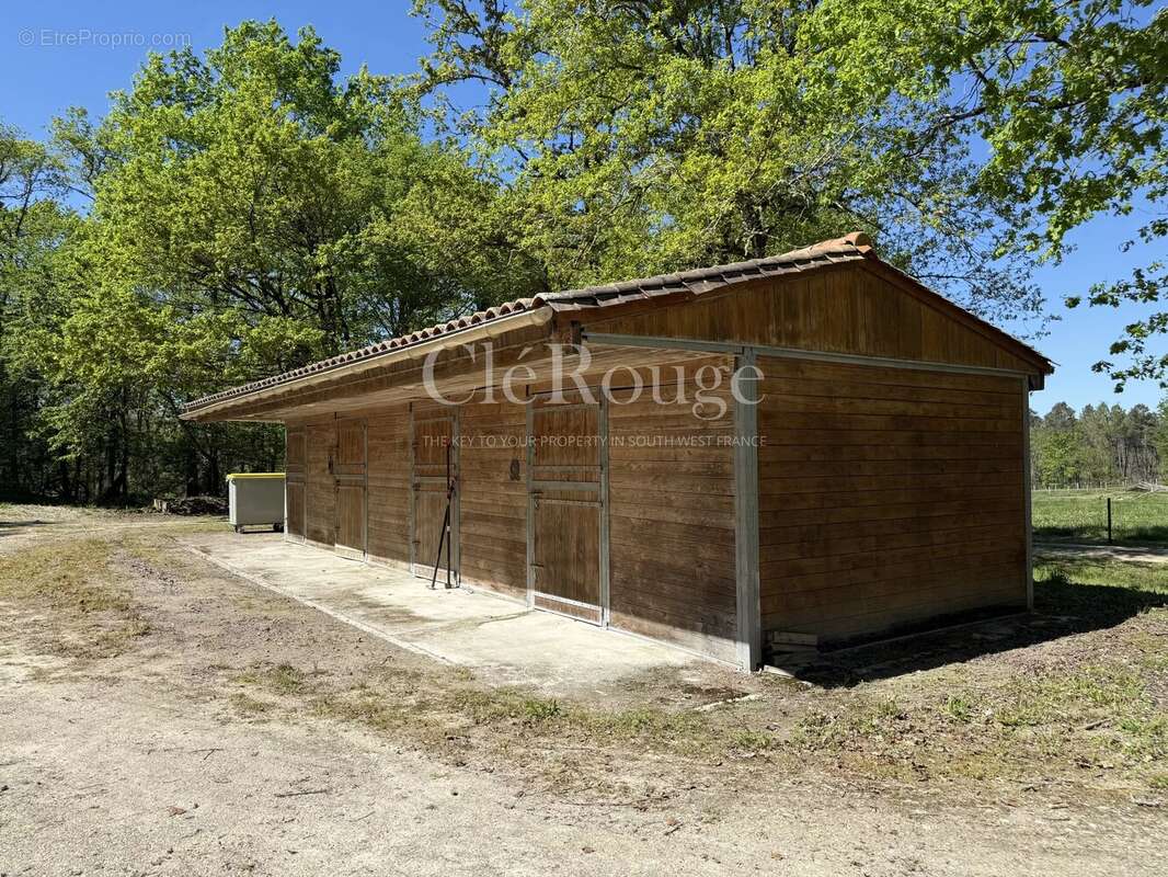 Proche du Fleix – Charmante propriété de campagne avec gîte et installations équestres sur 14 hectares - photo 23