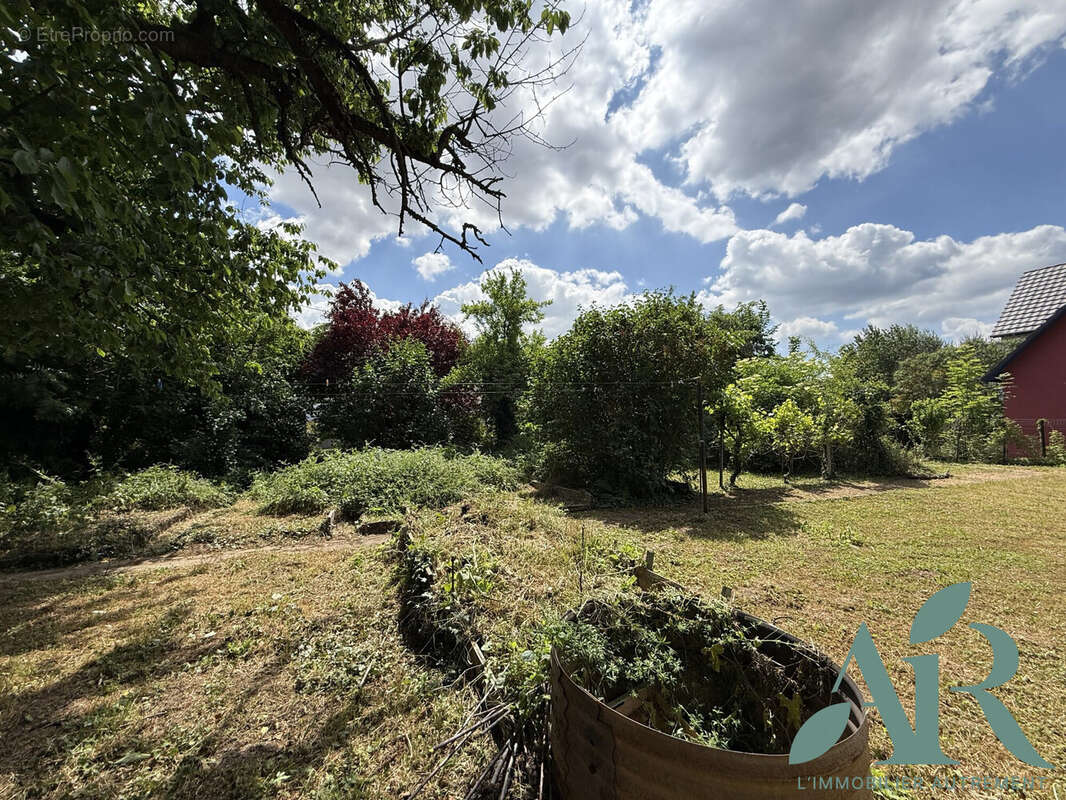 Terrain à NIEDERNAI