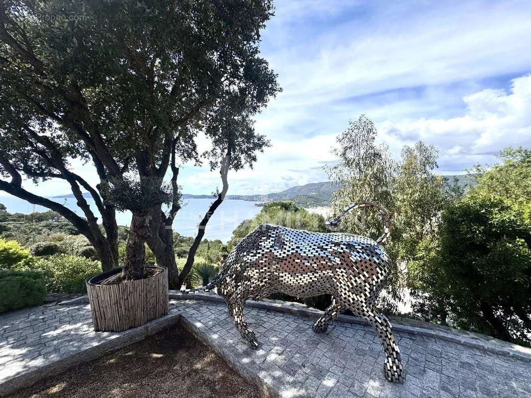 Maison à LE LAVANDOU
