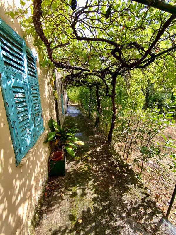 Centre village - photo 20