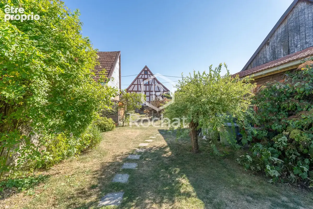 Viager occupé   authentique maison alsacienne de caractère   117,75 m2 habitables - photo 36