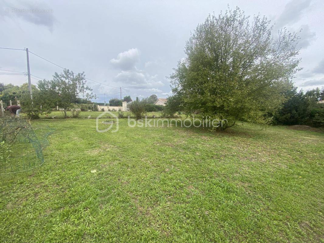 Terrain à VILLEGOUGE