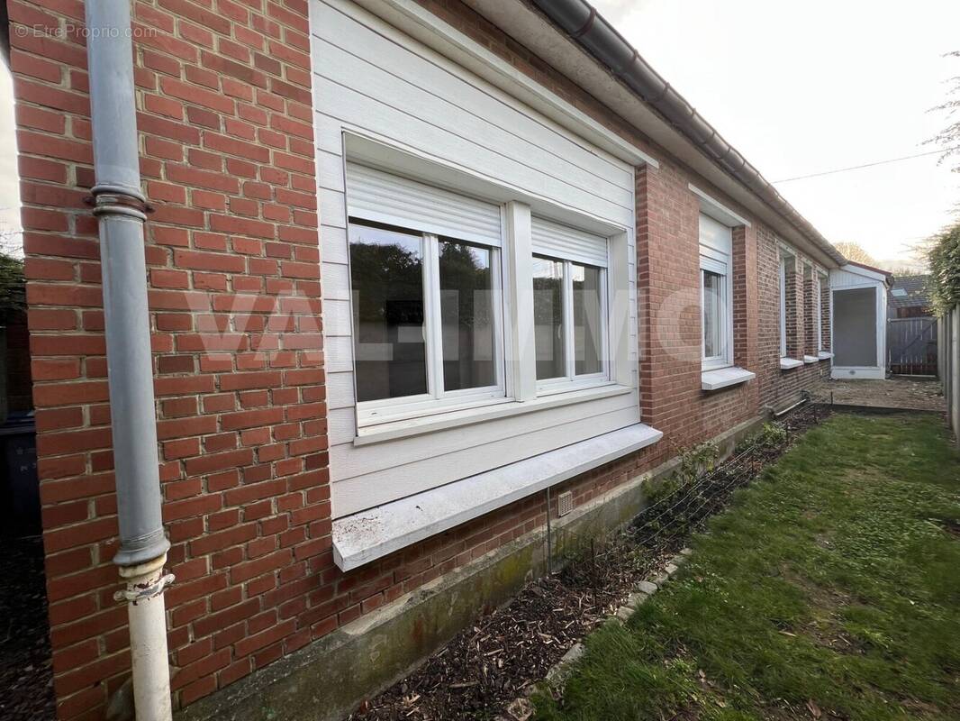 IMG_1868 - Maison à ARLEUX