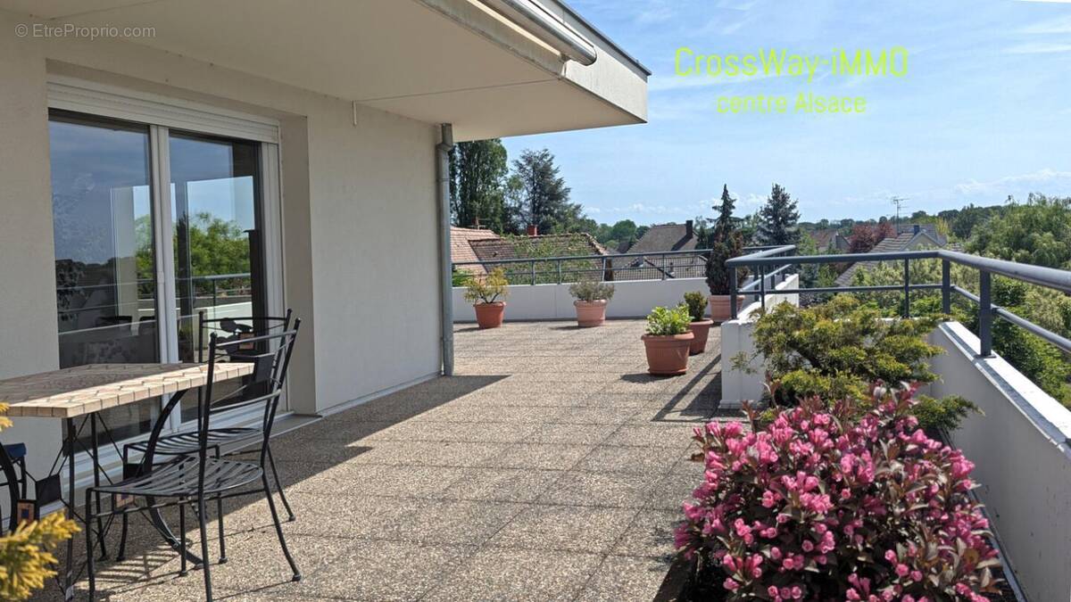 Appartement à SELESTAT