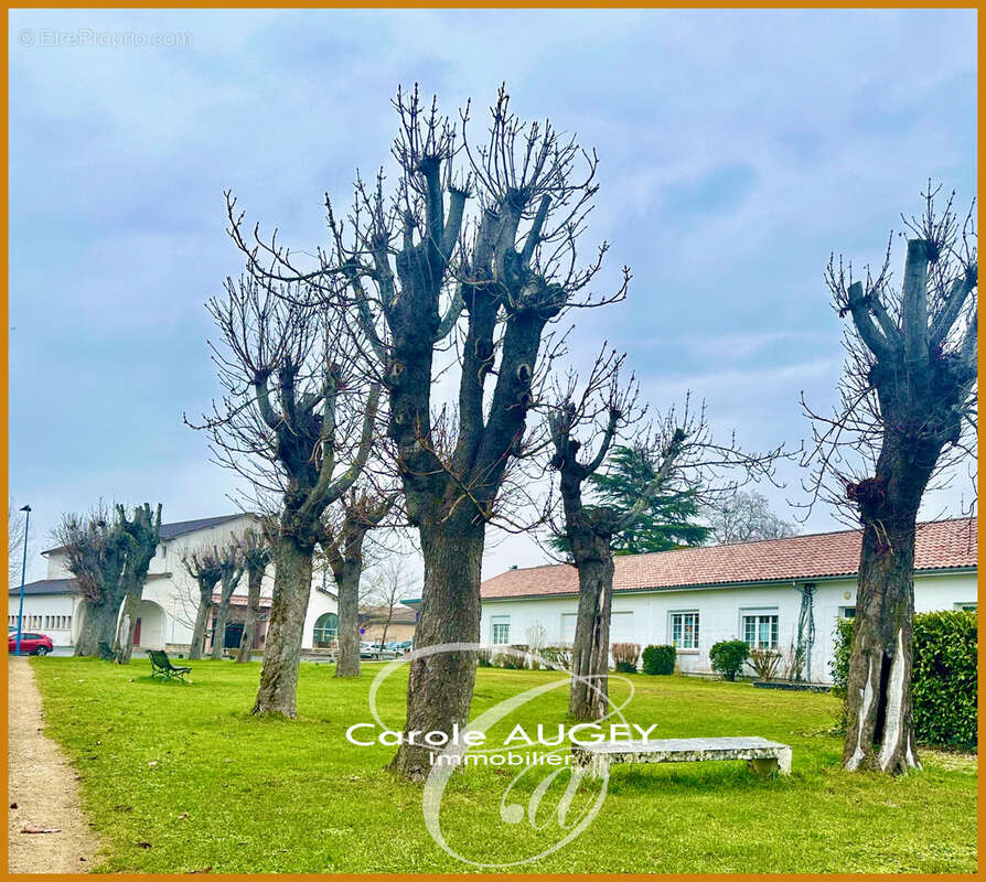 Terrain à AUROS