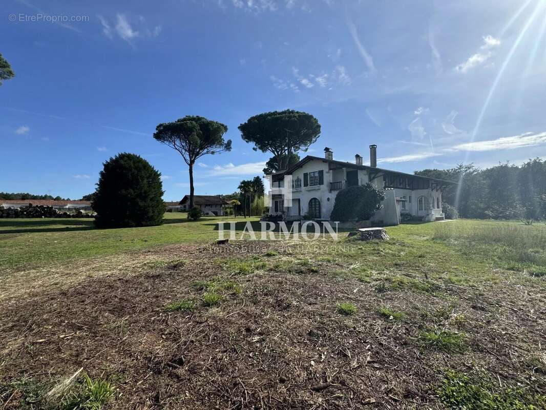 Harmon a vendre : propriété a Magescq - photo 8