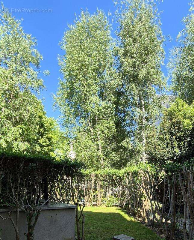 Appartement - photo 11