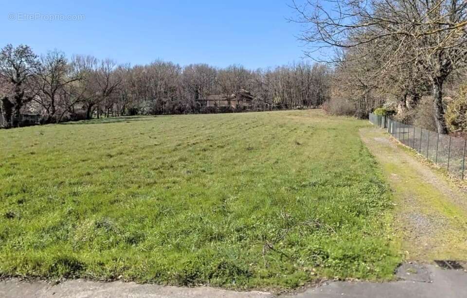 Terrain à LA SALVETAT-SAINT-GILLES