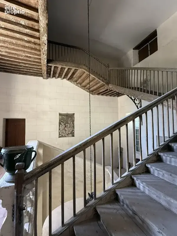 Château historique sur 19,5 hectares - photo 13