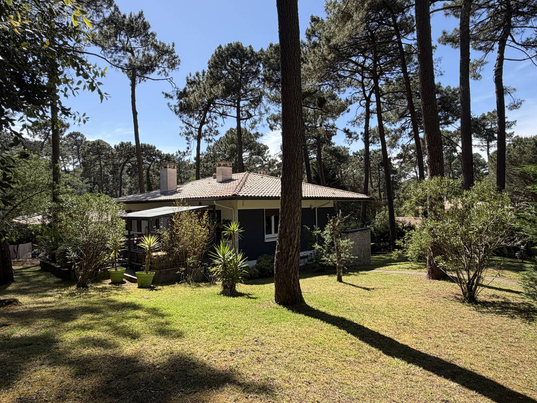 Maison à LE BOUSCAT