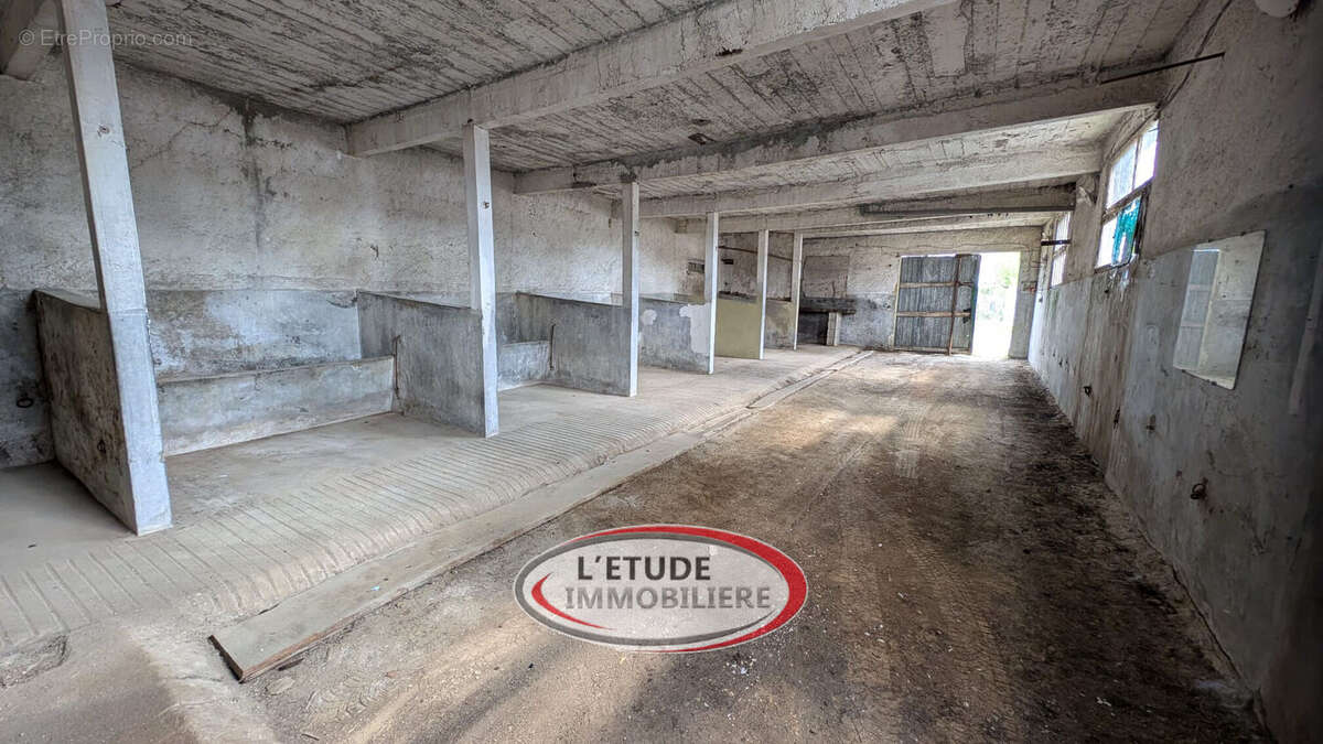 Photo 5 - Maison à VERTOU