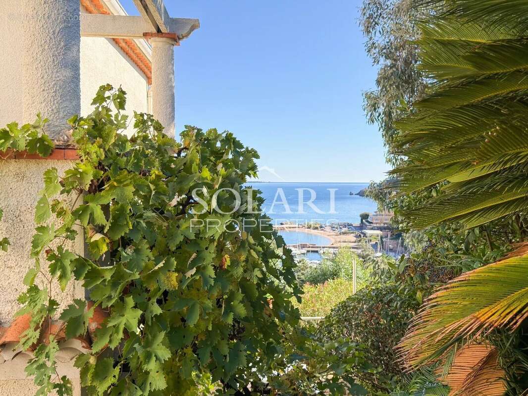 Maison à THEOULE-SUR-MER