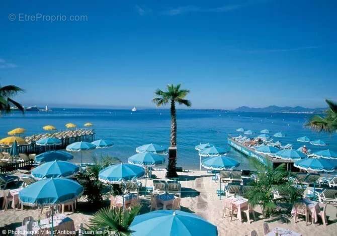Commerce à ANTIBES
