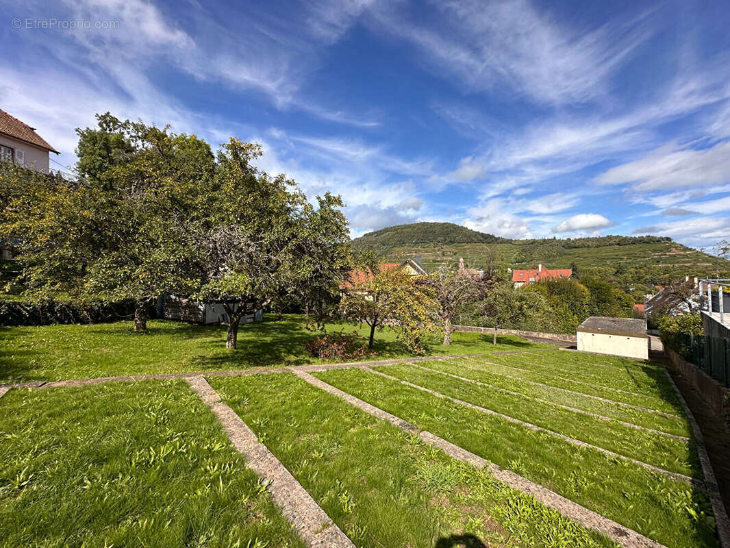 Terrain à GUEBWILLER