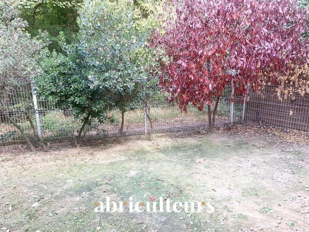 Maison à CORNEBARRIEU