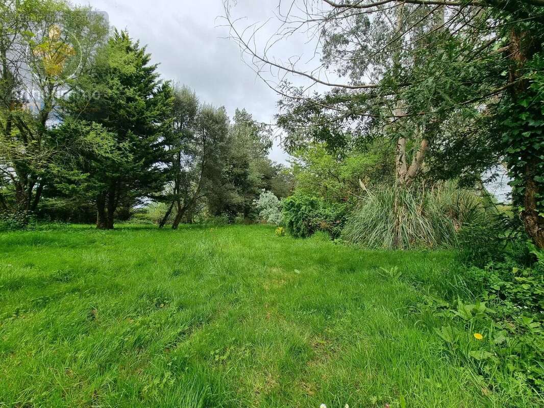 Maison à BOIS-DE-CENE