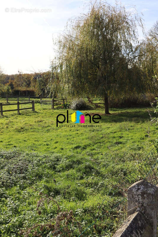 Terrain à HAUTEVILLE