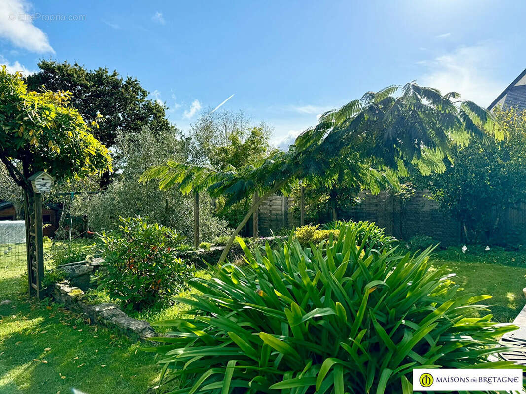 Maison à MOELAN-SUR-MER