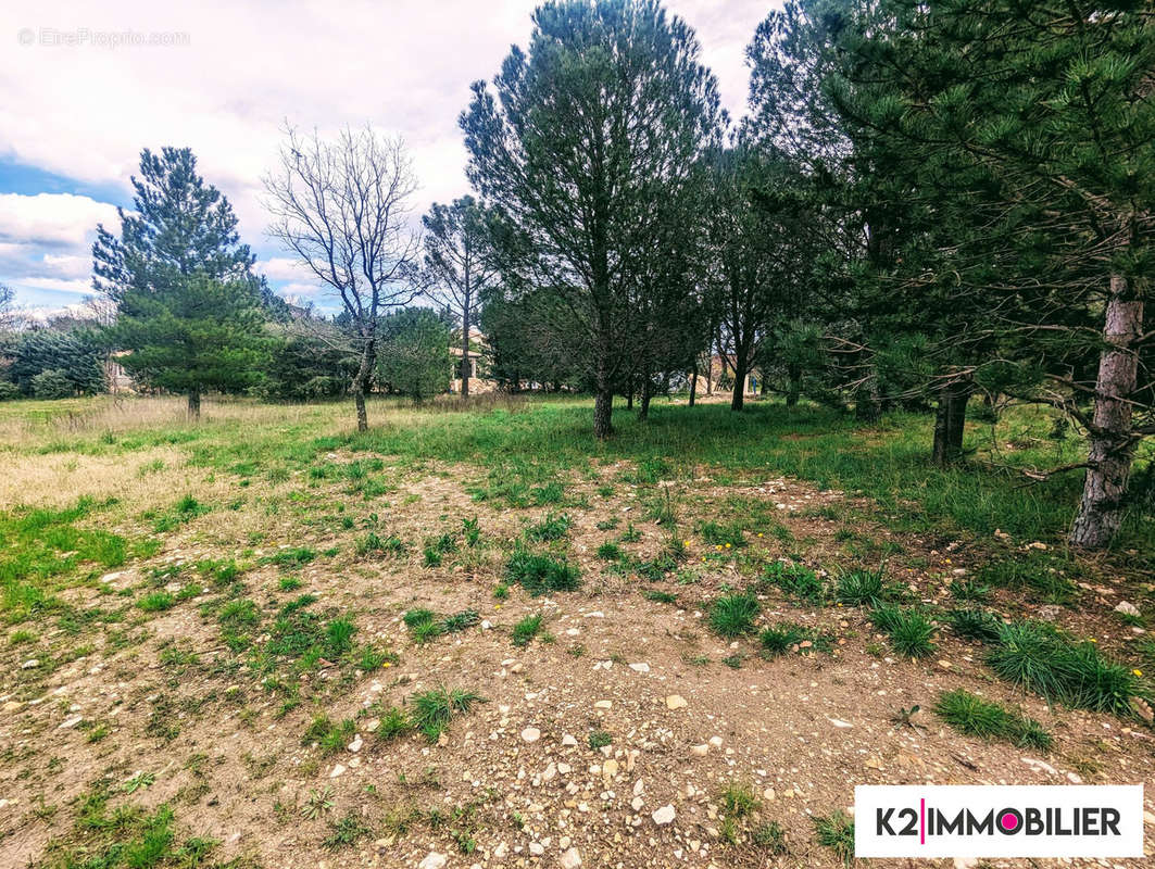 Terrain à LE TEIL