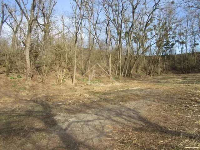 Terrain à VARENNES-SUR-ALLIER